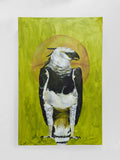 The Harpy Eagle