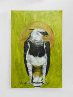 The Harpy Eagle