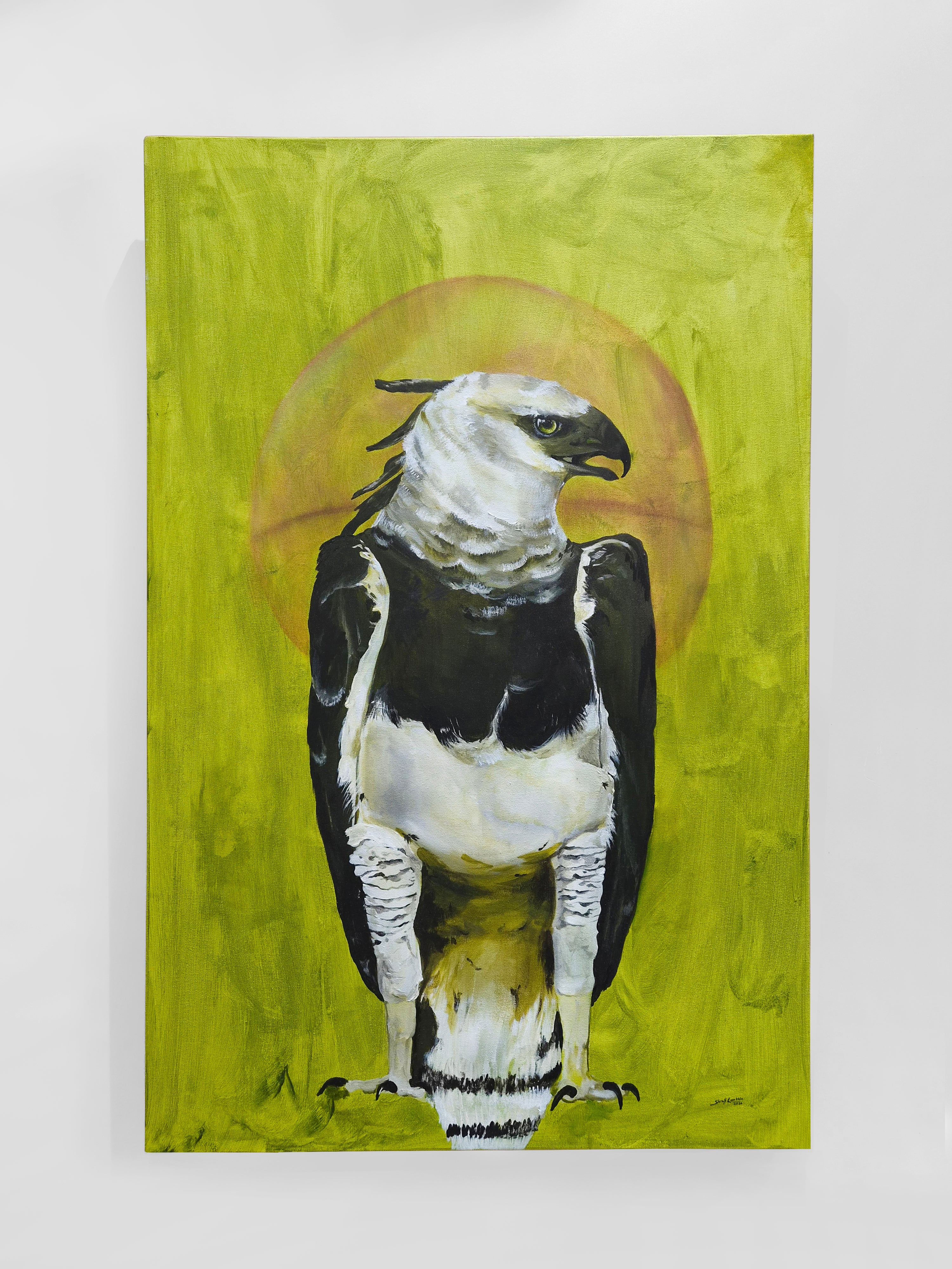 The Harpy Eagle