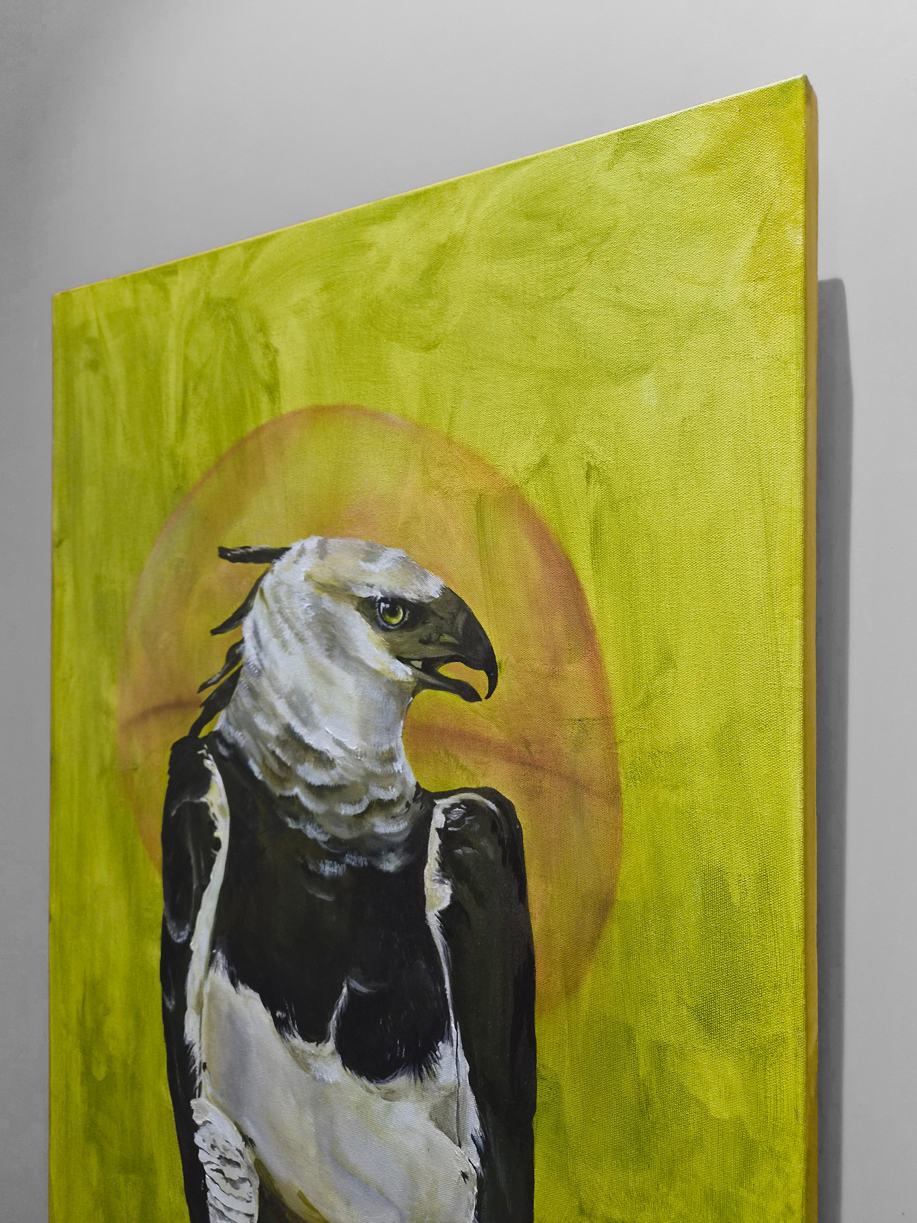 The Harpy Eagle