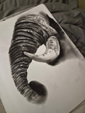 Tusk
