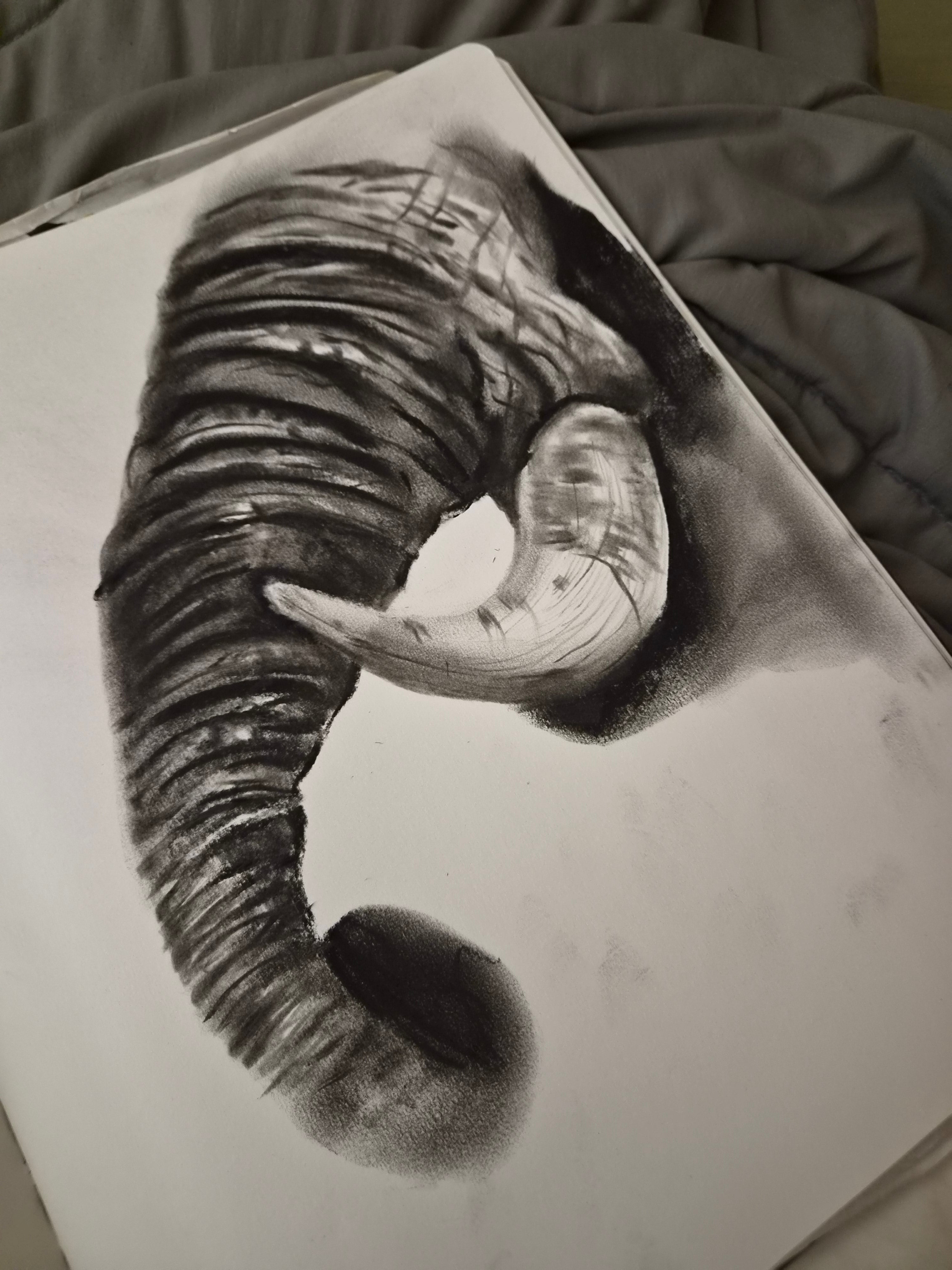Tusk