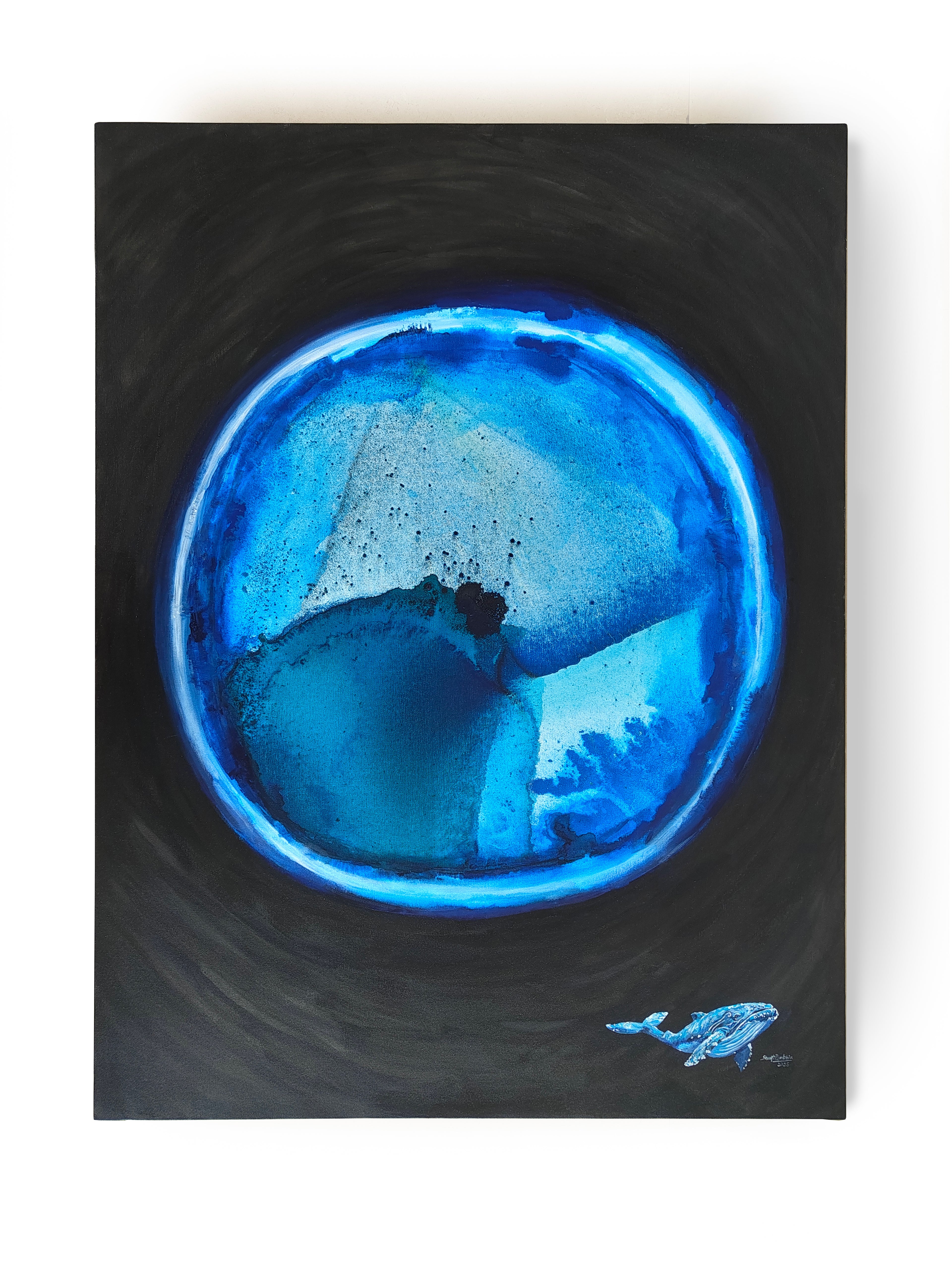 The EYE of the Blue Whale