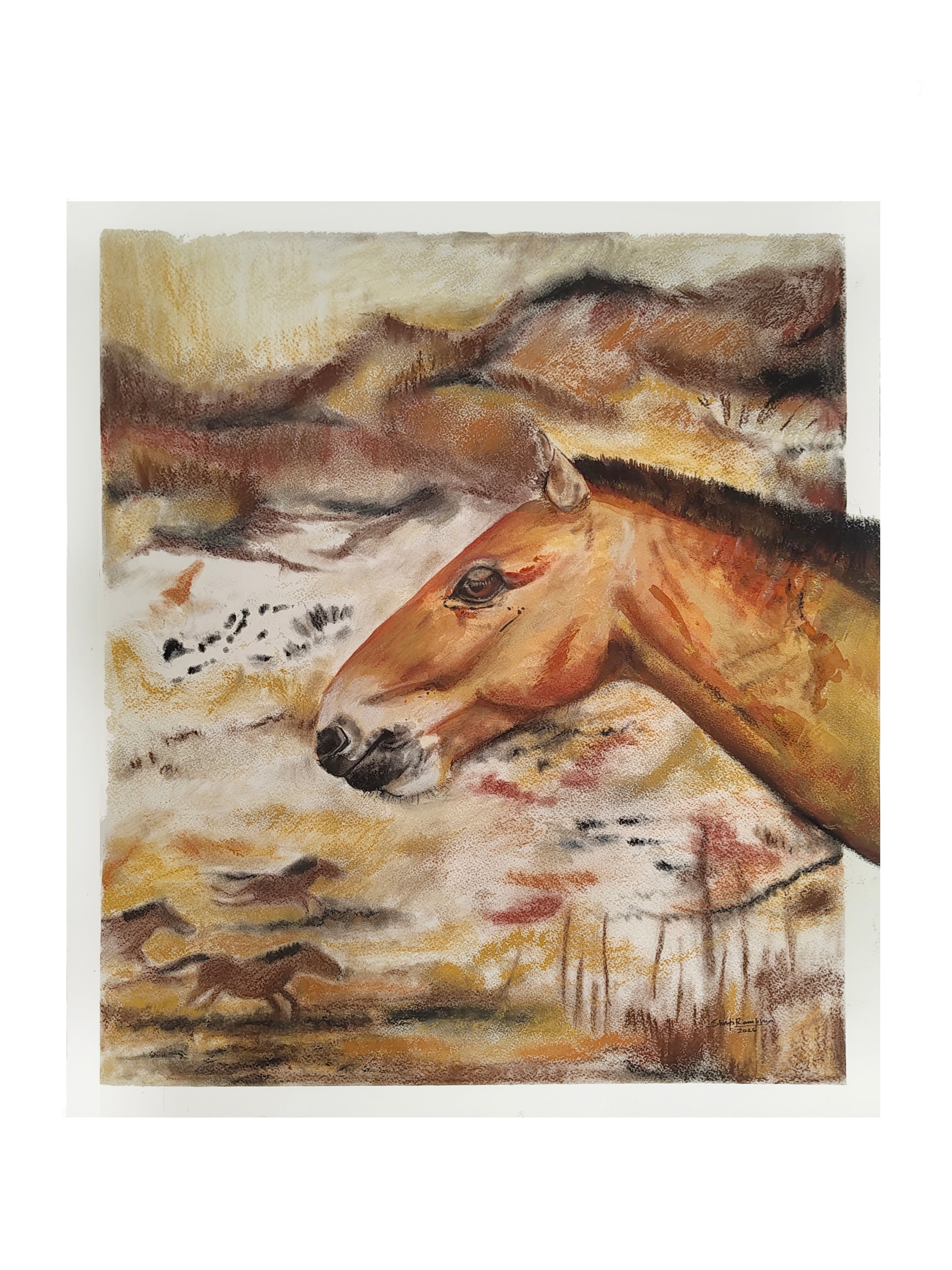 The untamed Przewalski's Horse