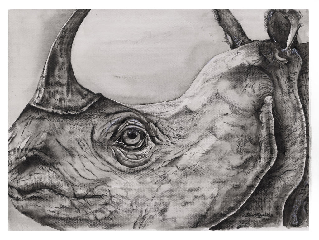One Horned Rhino