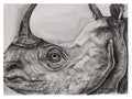 One Horned Rhino