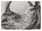 One Horned Rhino