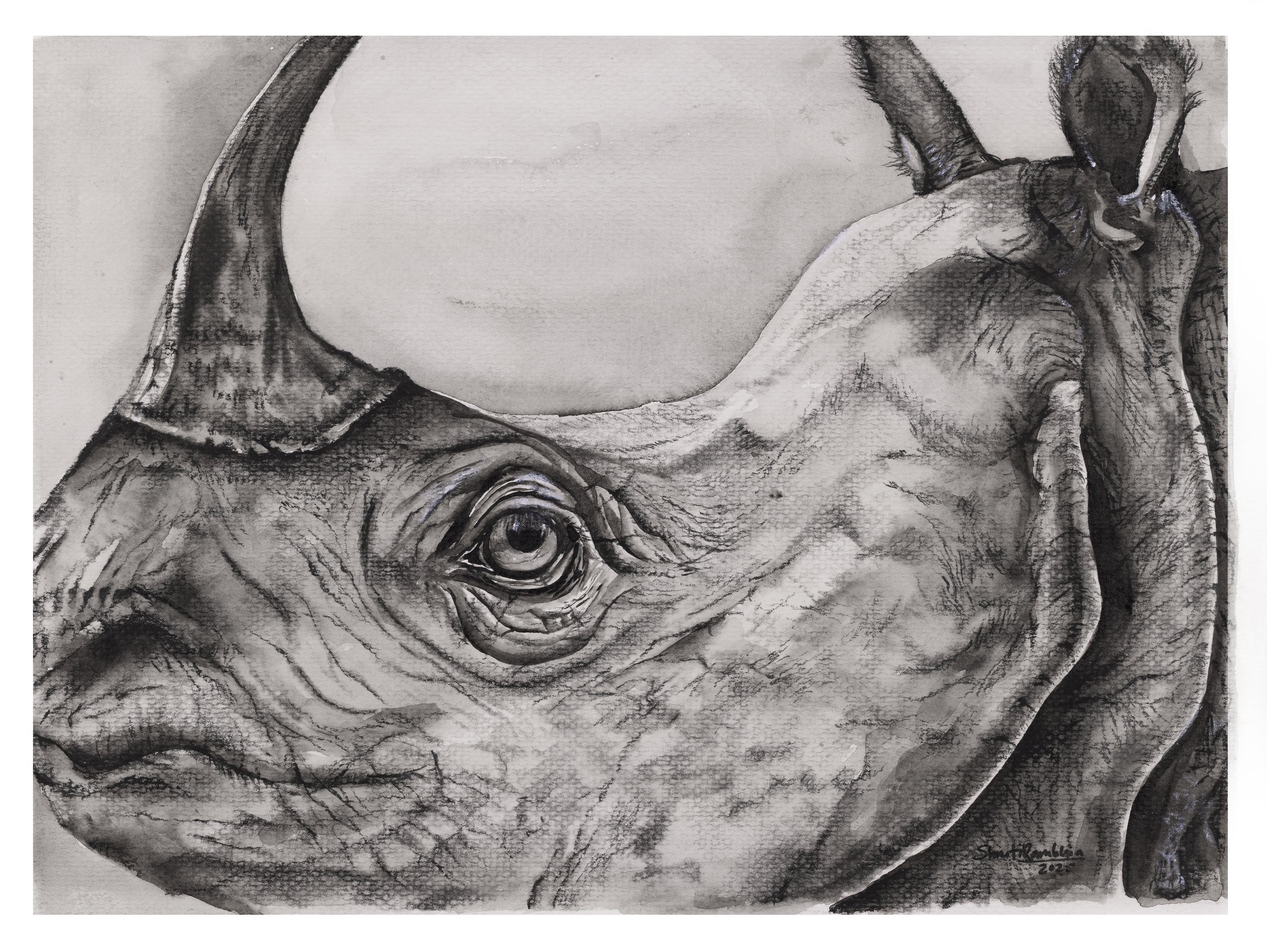 One Horned Rhino