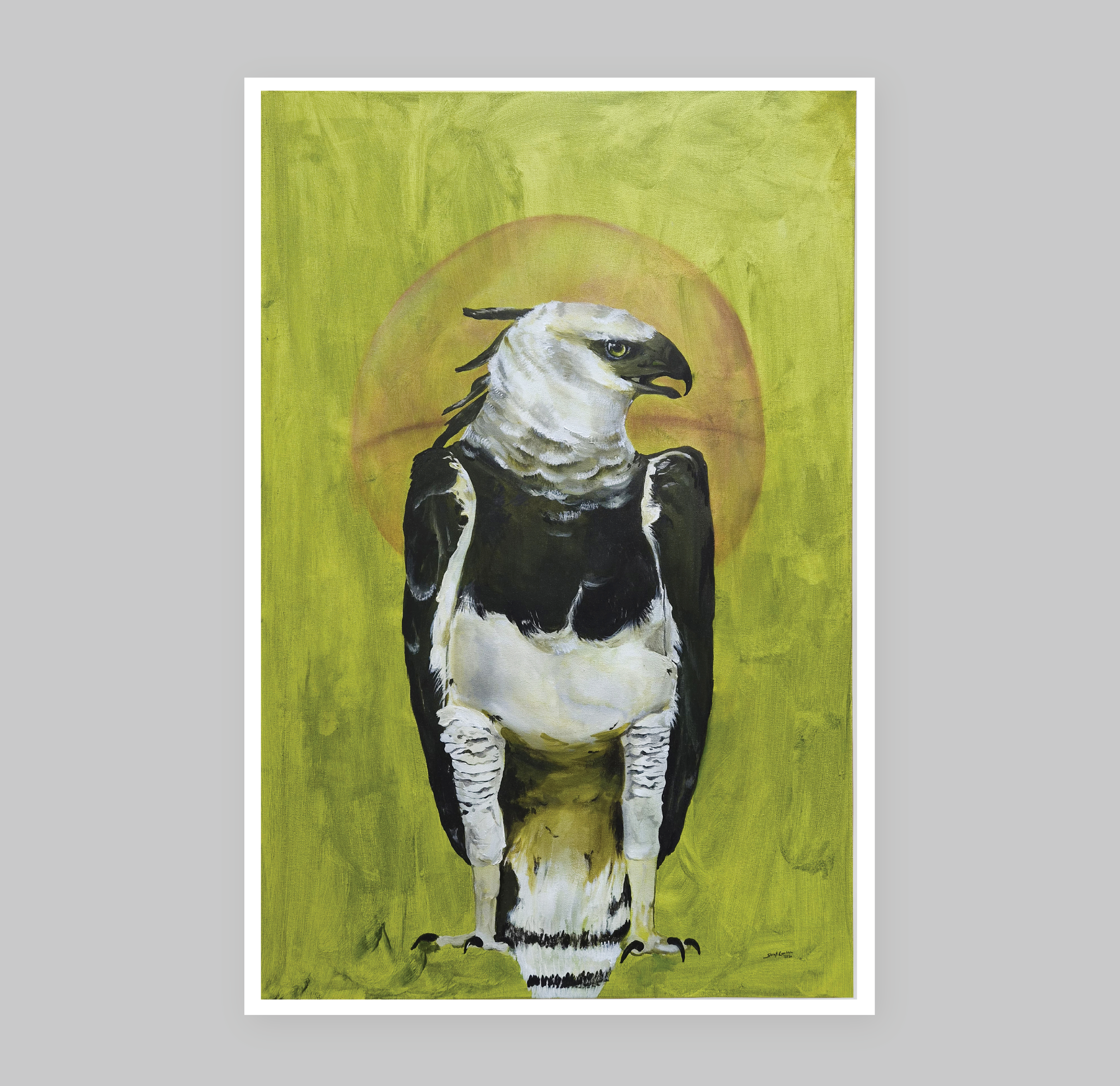 The Harpy Eagle