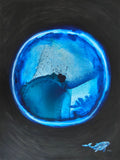 The EYE of the Blue Whale