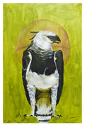 The Harpy Eagle