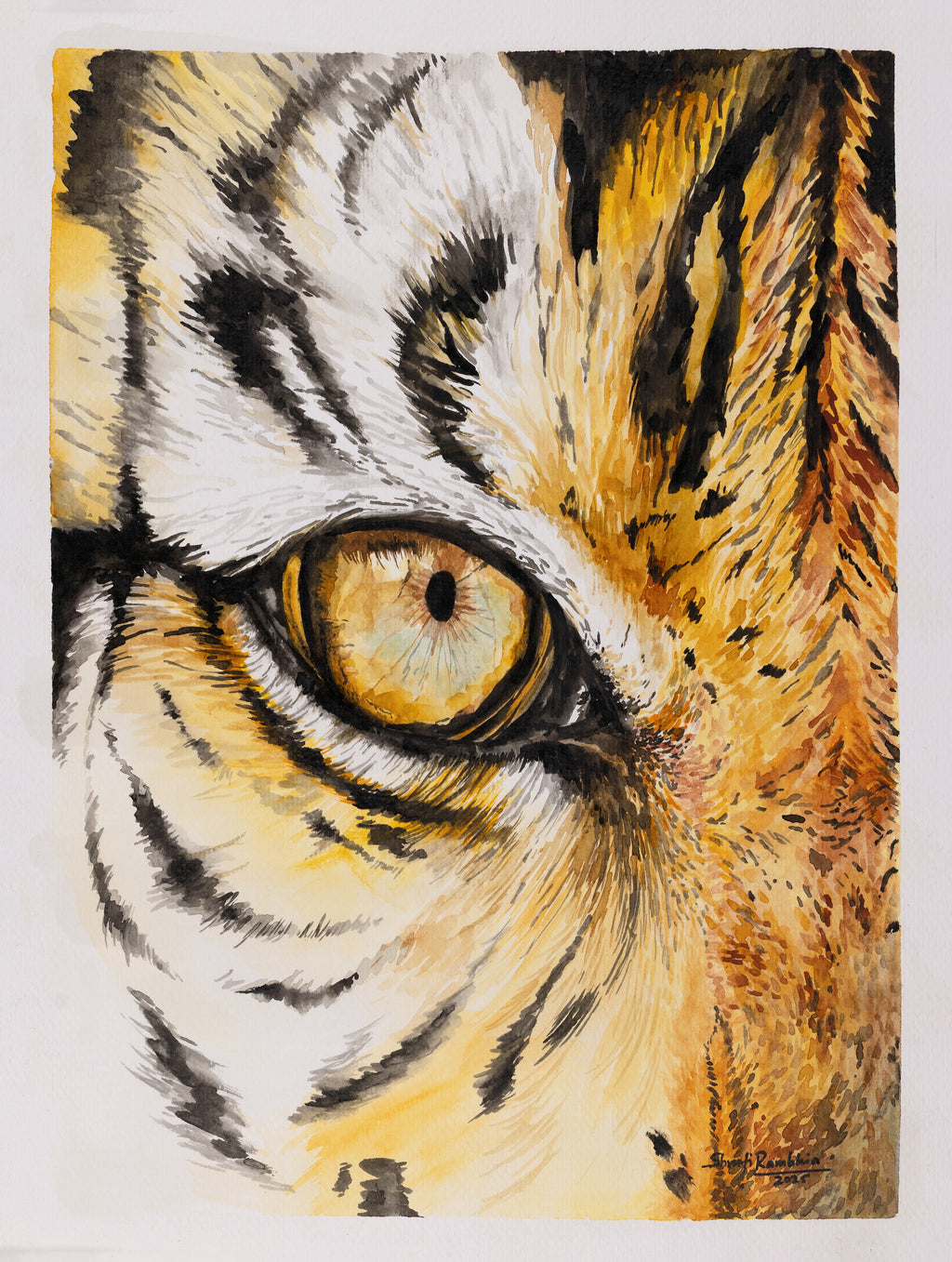 Eye of the Tiger