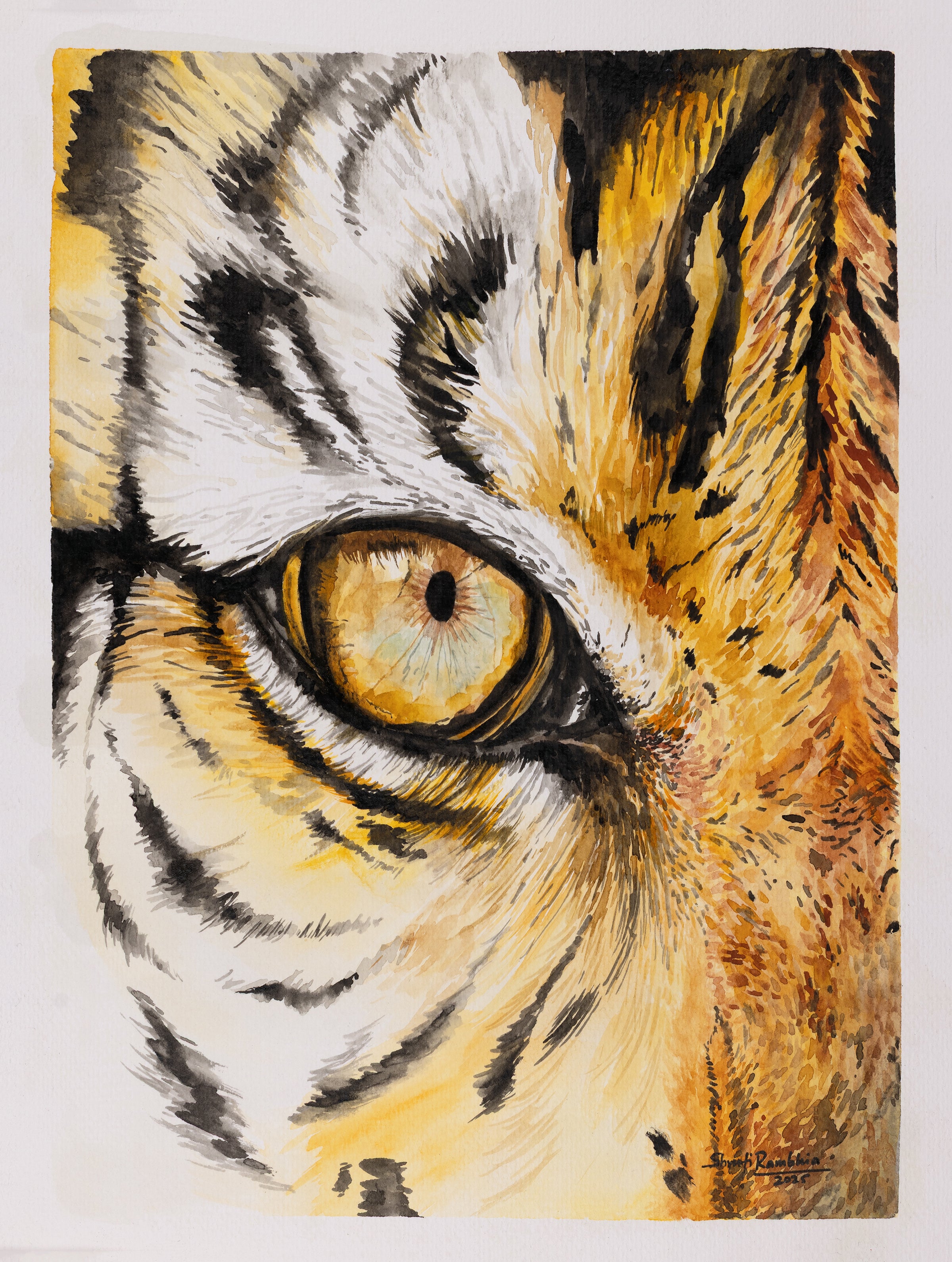 Eye of the Tiger