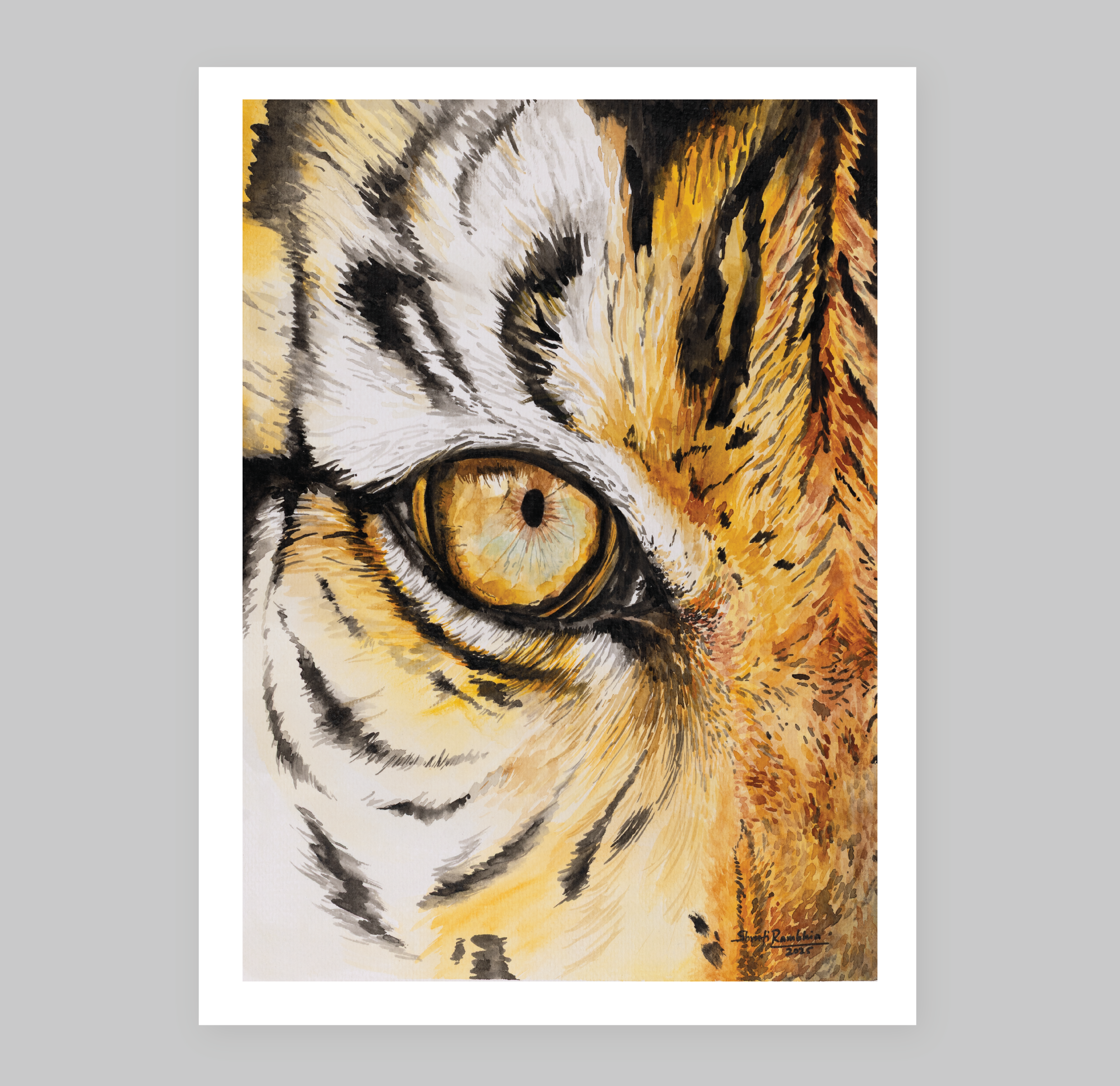 Eye of the Tiger