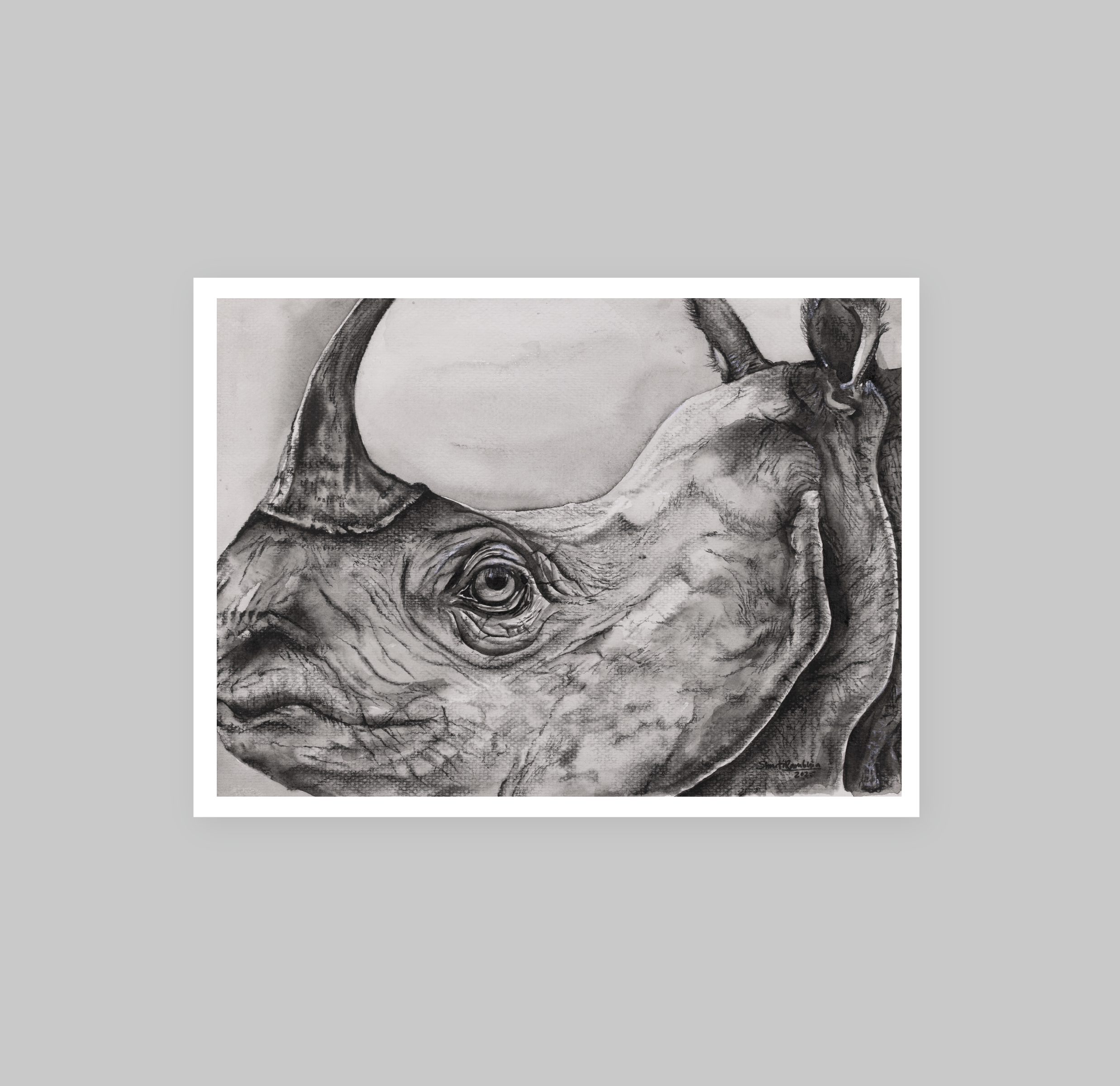 One Horned Rhino