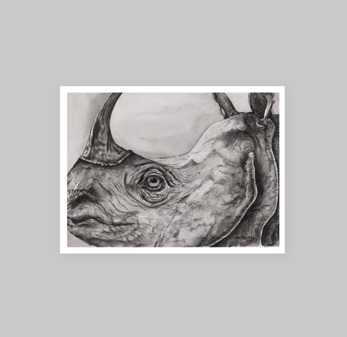 One Horned Rhino